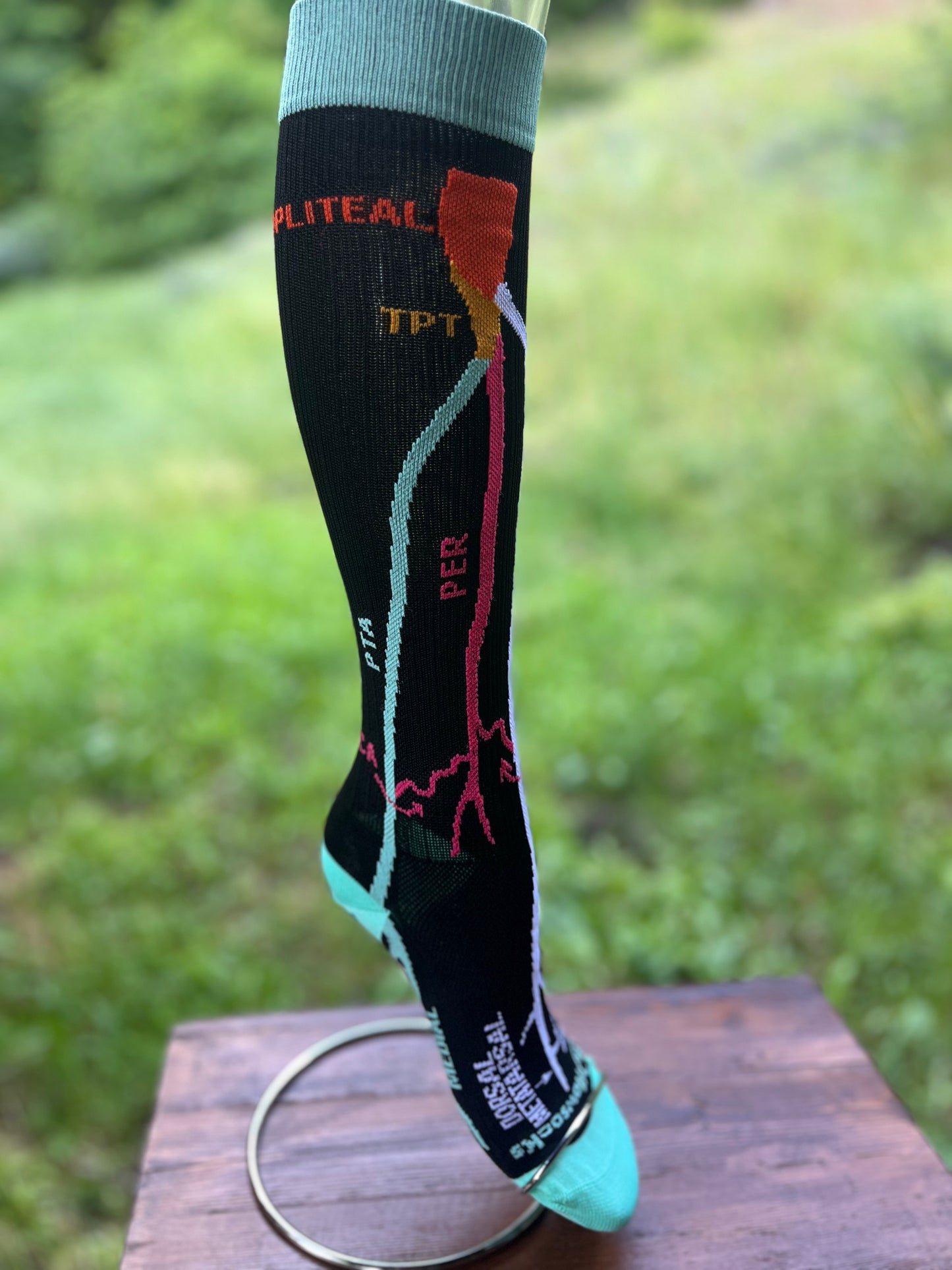 Sunset Arterial Sock